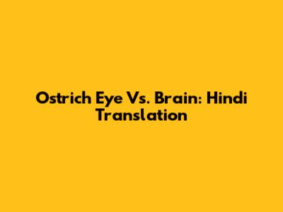 Ostrich Eye Vs. Brain: Hindi Translation