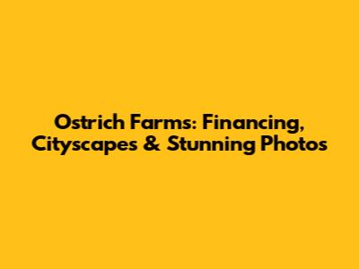Ostrich Farms: Financing, Cityscapes & Stunning Photos