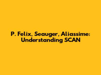 P. Felix, Seauger, Aliassime: Understanding SCAN