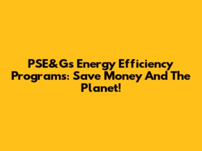 PSE&G's Energy Efficiency Programs: Save Money And The Planet!