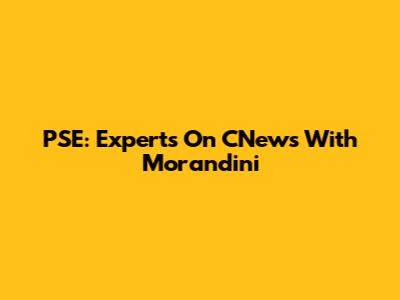 PSE: Experts On CNews With Morandini