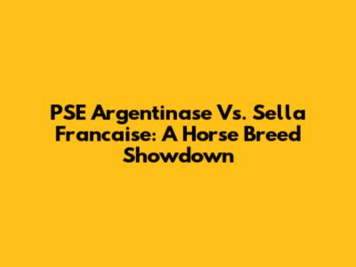 PSE Argentinase Vs. Sella Francaise: A Horse Breed Showdown