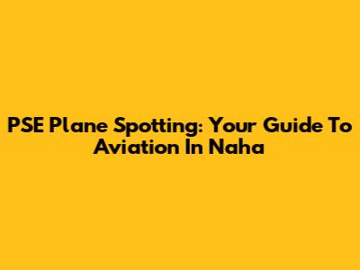 PSE Plane Spotting: Your Guide To Aviation In Naha