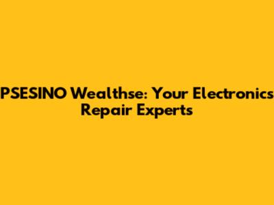 PSESINO Wealthse: Your Electronics Repair Experts