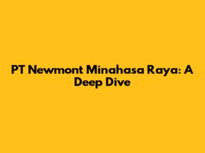PT Newmont Minahasa Raya: A Deep Dive