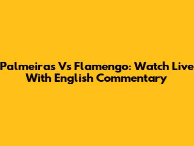 Palmeiras Vs Flamengo: Watch Live With English Commentary