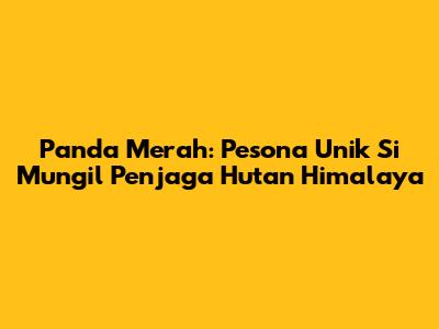 Panda Merah: Pesona Unik Si Mungil Penjaga Hutan Himalaya