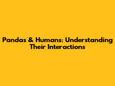 Pandas & Humans: Understanding Their Interactions