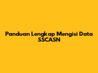 Panduan Lengkap Mengisi Data SSCASN