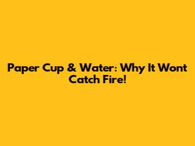 Paper Cup & Water: Why It Won't Catch Fire!