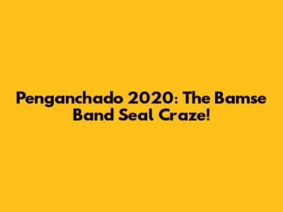 Penganchado 2020: The Bamse Band Seal Craze!