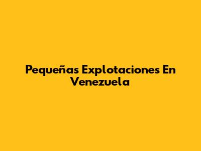 Pequeñas Explotaciones En Venezuela