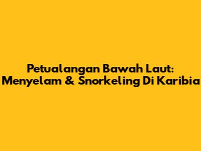 Petualangan Bawah Laut: Menyelam & Snorkeling Di Karibia