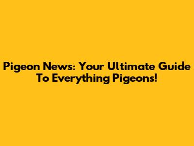 Pigeon News: Your Ultimate Guide To Everything Pigeons!