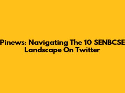 Pinews: Navigating The 10 SENBCSE Landscape On Twitter