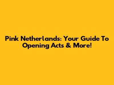 Pink Netherlands: Your Guide To Opening Acts & More!
