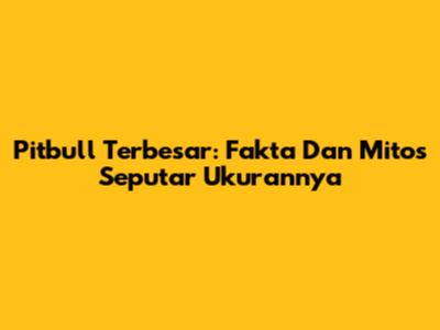 Pitbull Terbesar: Fakta Dan Mitos Seputar Ukurannya