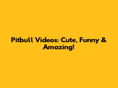 Pitbull Videos: Cute, Funny & Amazing!