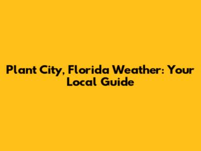 Plant City, Florida Weather: Your Local Guide