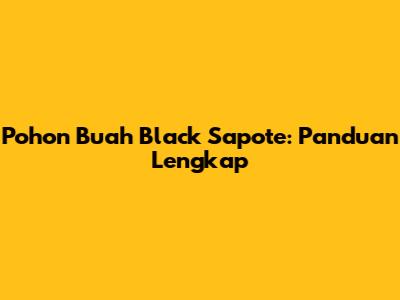 Pohon Buah Black Sapote: Panduan Lengkap