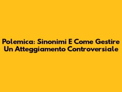 Polemica: Sinonimi E Come Gestire Un Atteggiamento Controversiale