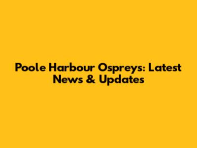 Poole Harbour Ospreys: Latest News & Updates