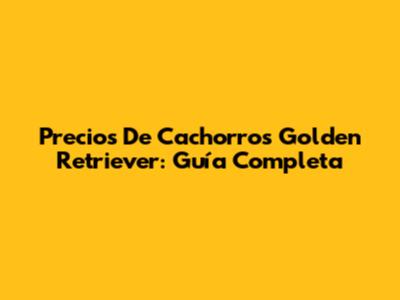 Precios De Cachorros Golden Retriever: Guía Completa