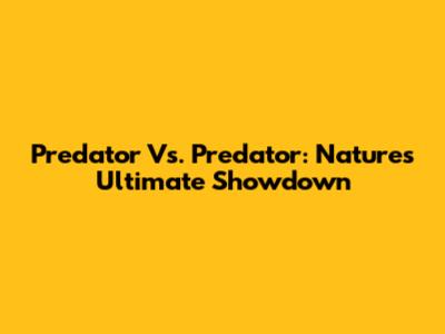 Predator Vs. Predator: Nature's Ultimate Showdown