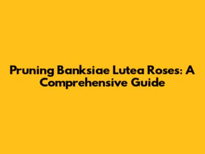 Pruning Banksiae Lutea Roses: A Comprehensive Guide