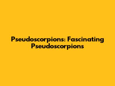 Pseudoscorpions: Fascinating Pseudoscorpions