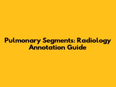 Pulmonary Segments: Radiology Annotation Guide