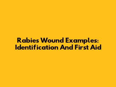 Rabies Wound Examples: Identification And First Aid