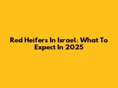 Red Heifers In Israel: What To Expect In 2025