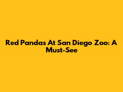 Red Pandas At San Diego Zoo: A Must-See