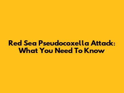 Red Sea Pseudocoxella Attack: What You Need To Know
