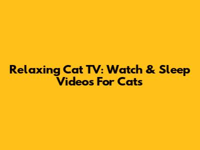 Relaxing Cat TV: Watch & Sleep Videos For Cats