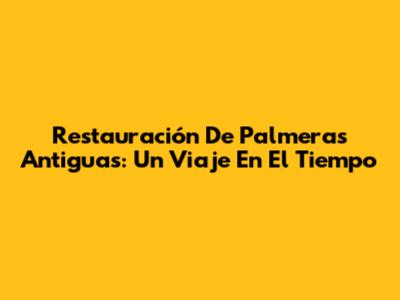 Restauración De Palmeras Antiguas: Un Viaje En El Tiempo