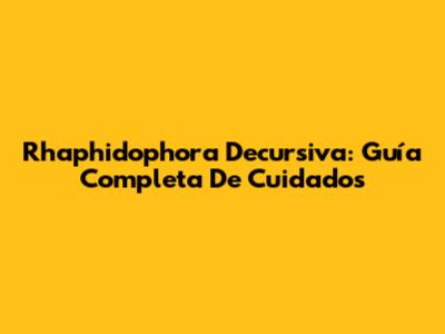 Rhaphidophora Decursiva: Guía Completa De Cuidados