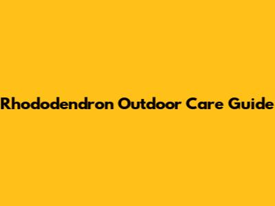 Rhododendron Outdoor Care Guide