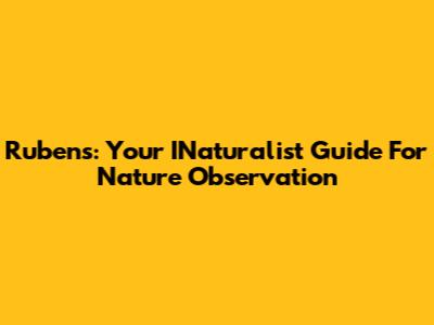 Rubens: Your INaturalist Guide For Nature Observation