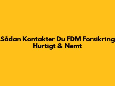 Sådan Kontakter Du FDM Forsikring Hurtigt & Nemt