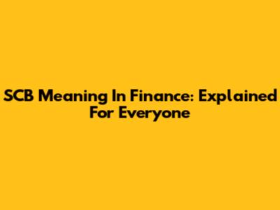 SCB Meaning In Finance: Explained For Everyone