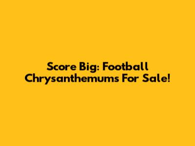 Score Big: Football Chrysanthemums For Sale!