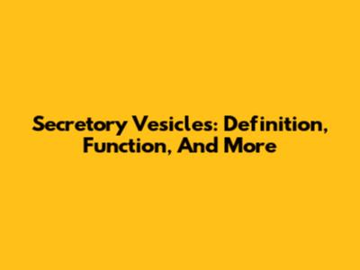Secretory Vesicles: Definition, Function, And More