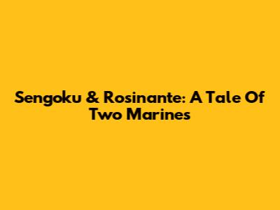 Sengoku & Rosinante: A Tale Of Two Marines
