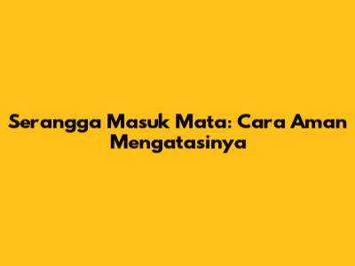 Serangga Masuk Mata: Cara Aman Mengatasinya