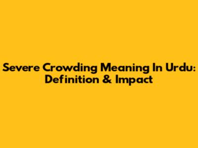 Severe Crowding Meaning In Urdu: Definition & Impact