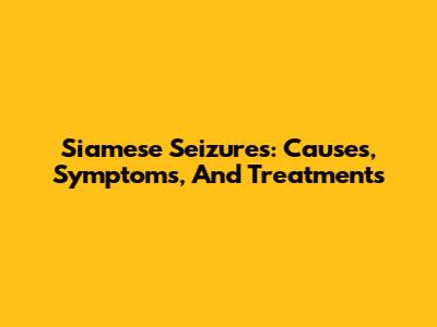 Siamese Seizures: Causes, Symptoms, And Treatments