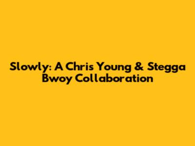 Slowly: A Chris Young & Stegga Bwoy Collaboration