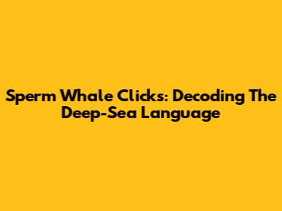 Sperm Whale Clicks: Decoding The Deep-Sea Language